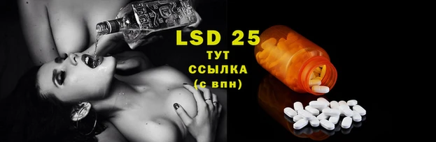 хмурый Надым