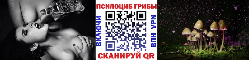 Галлюциногенные грибы мухоморы  где купить   Саки 