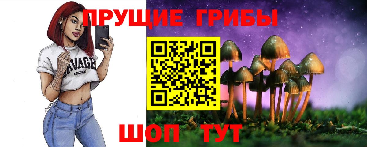 закладки  Вход с VPN  Саки  Псилоцибиновые грибы прущие грибы 