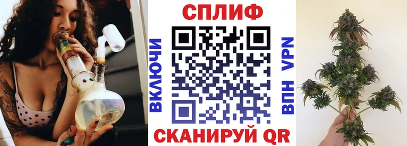 Каннабис гибрид  закладка  Саки 